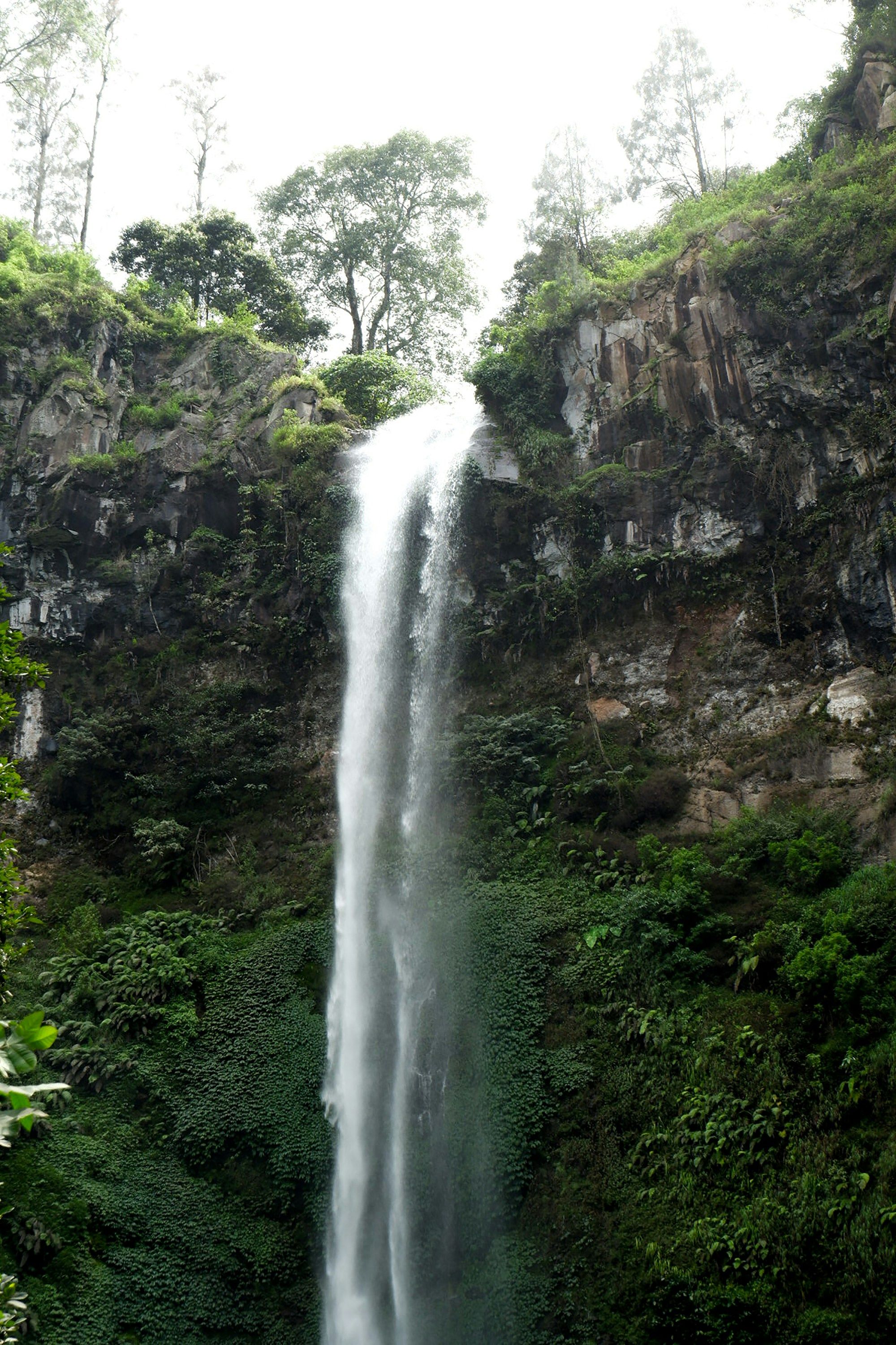 Batu
